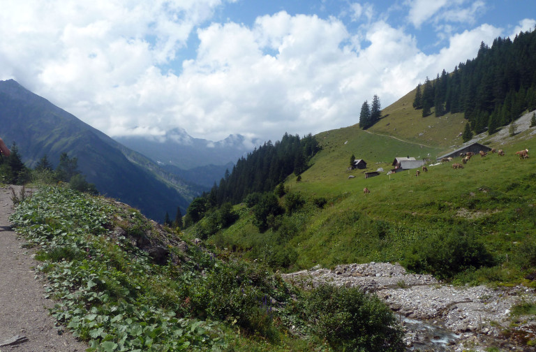 Fürenalp - Zieblen hike (W19)