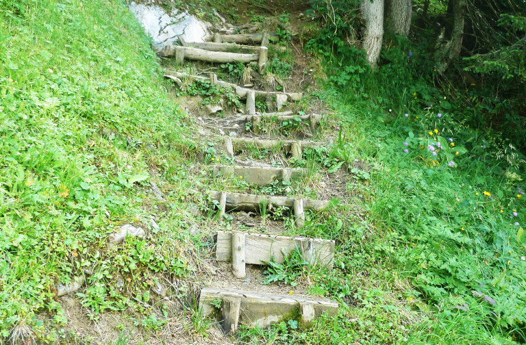 Fürenalp - Horbis hike (W19)